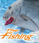 THE Fishing
