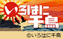 ͂ɐ璹