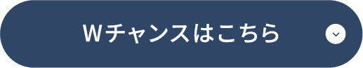 W`X͂