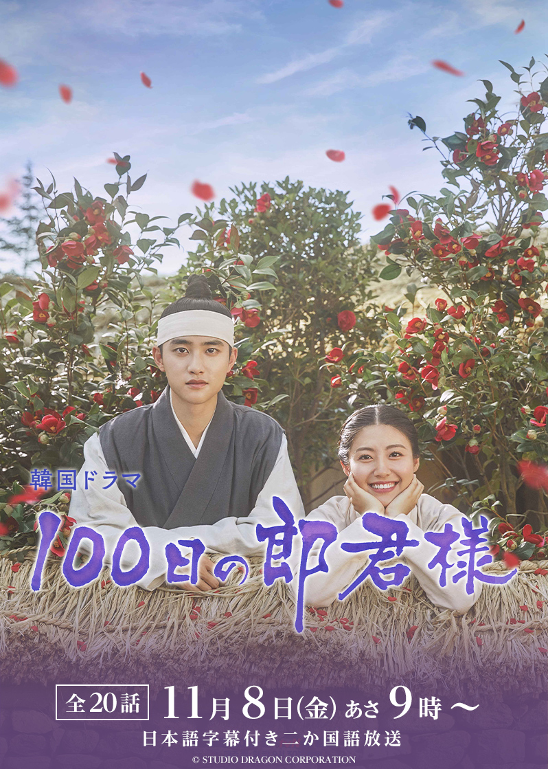 韓国ドラマ「100日の郎君様」テレQ - 株式会社TVQ九州放送