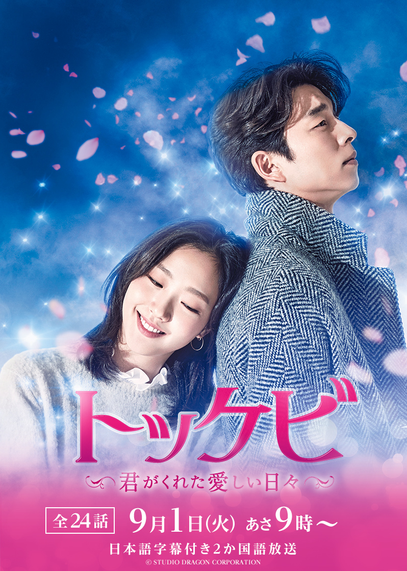 韓国ドラマ「トッケビ～君がくれた愛しい日々～」 ｜テレQ - 株式会社