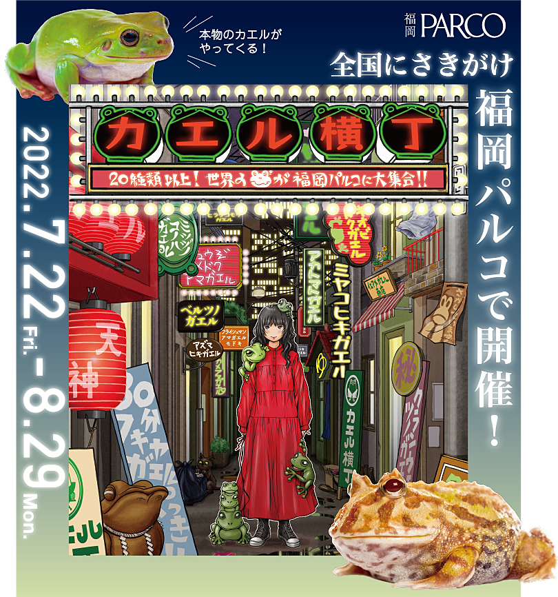 カエル横丁 20種類以上!世界のカエルが福岡パルコに大集合!!