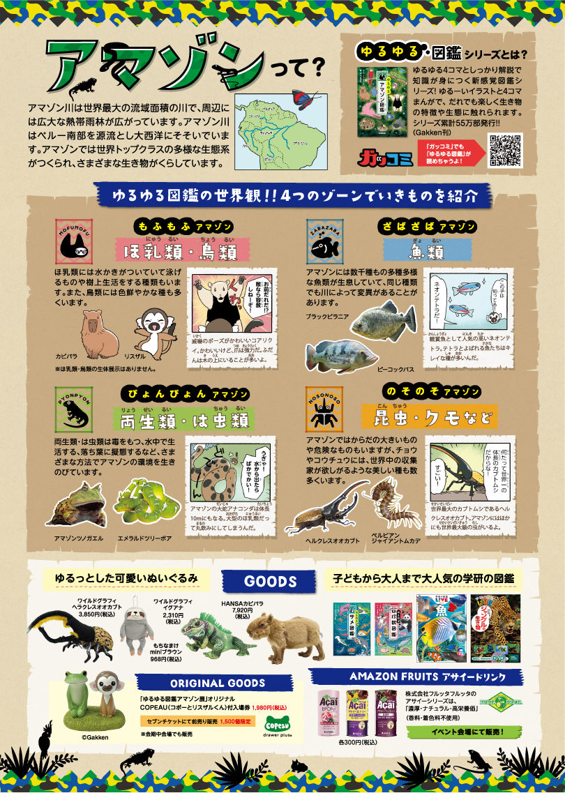 ゆるゆる図鑑の世界観!!4つのゾーンでいきものを紹介