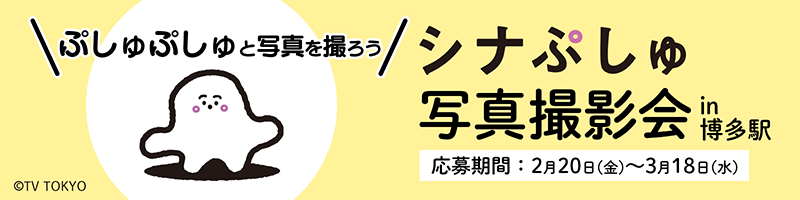 �V�i�Ղ���ʐ^�B�e�� in�����w