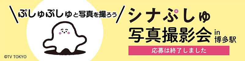 �V�i�Ղ���ʐ^�B�e�� in�����w