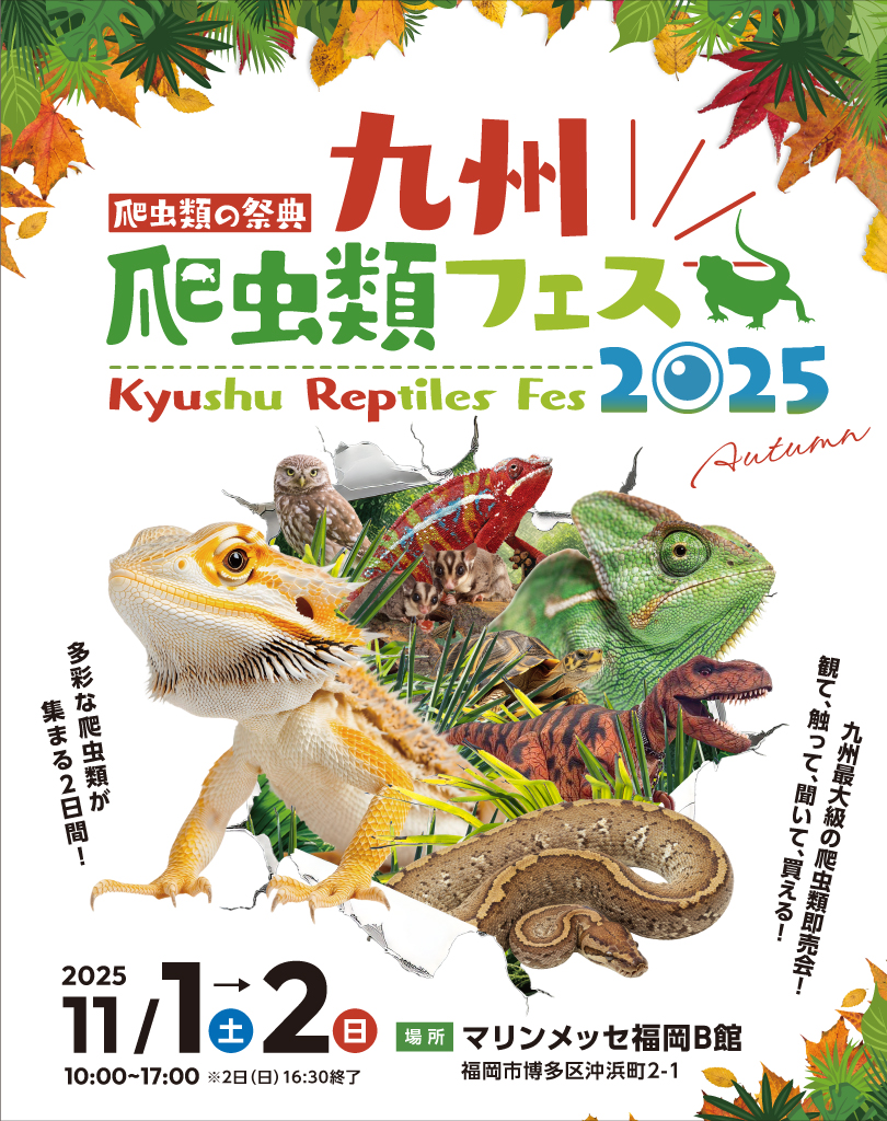 九州爬虫類フェス2025Autumn