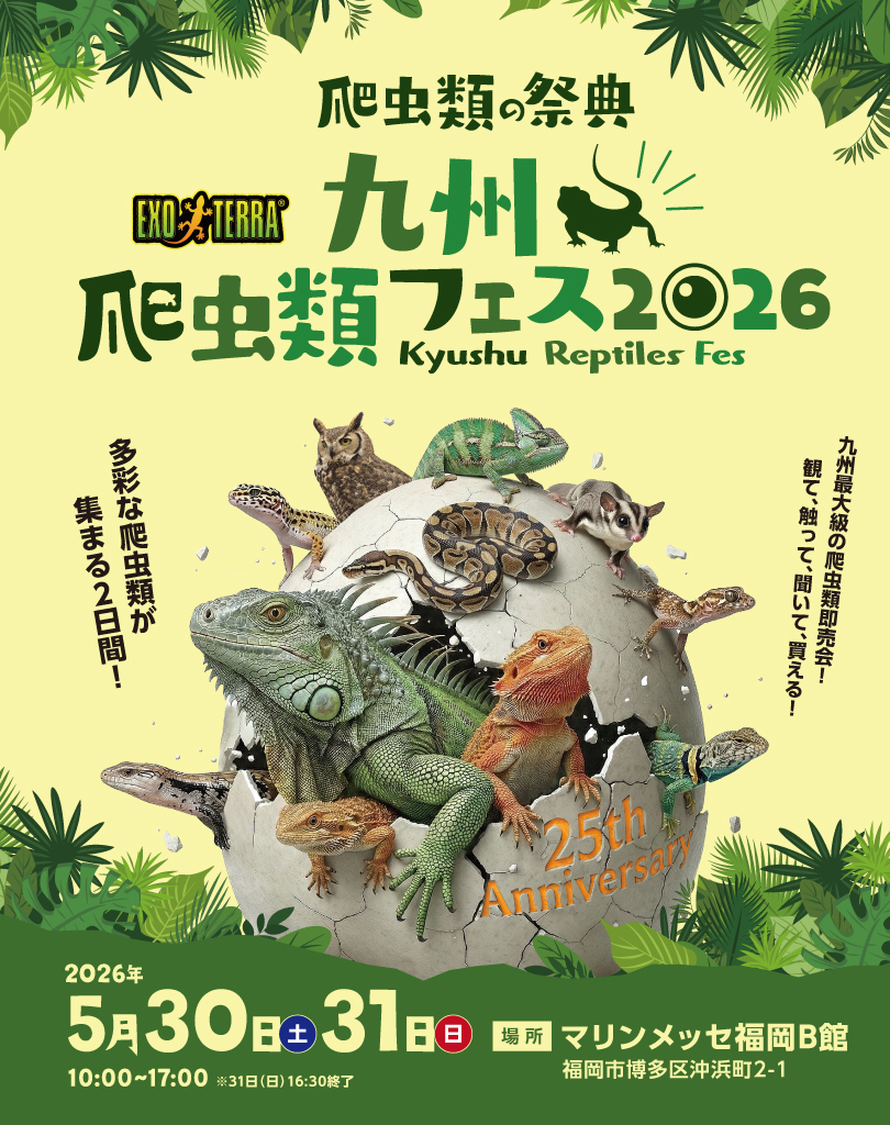 ��B঒��ރt�F�X2026�@