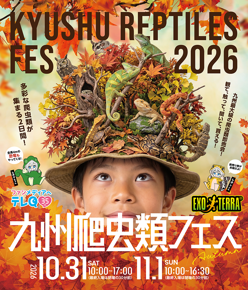 ��B঒��ރt�F�X2026Autumn