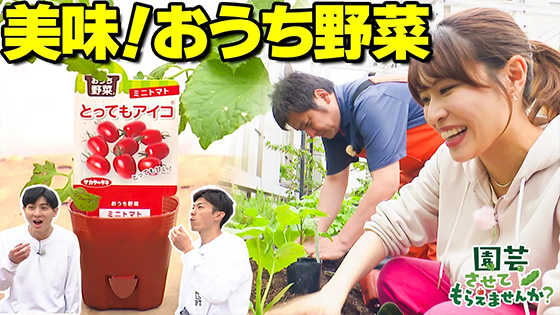����摜