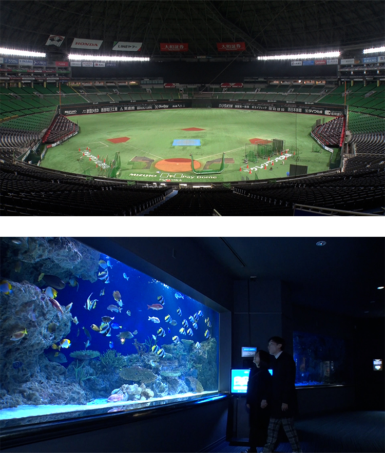 2026�N2��21������