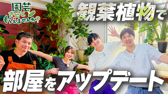 次回画像
