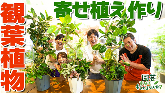 次回画像