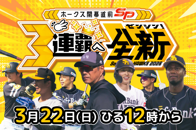 �z�[�N�X�J�����OSP�`3�A�e�֑S�V�`