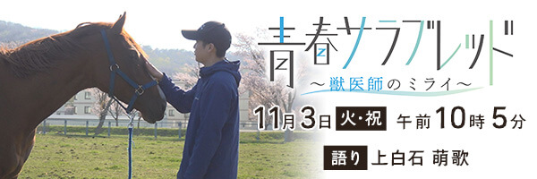 青春サラブレッド〜獣医師のミライ〜