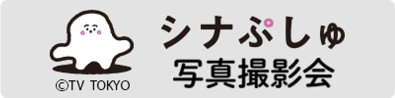 �V�i�Ղ��� �ʐ^�B�e��