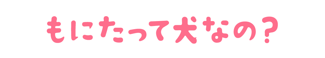 ���ɂ����Č��Ȃ́H