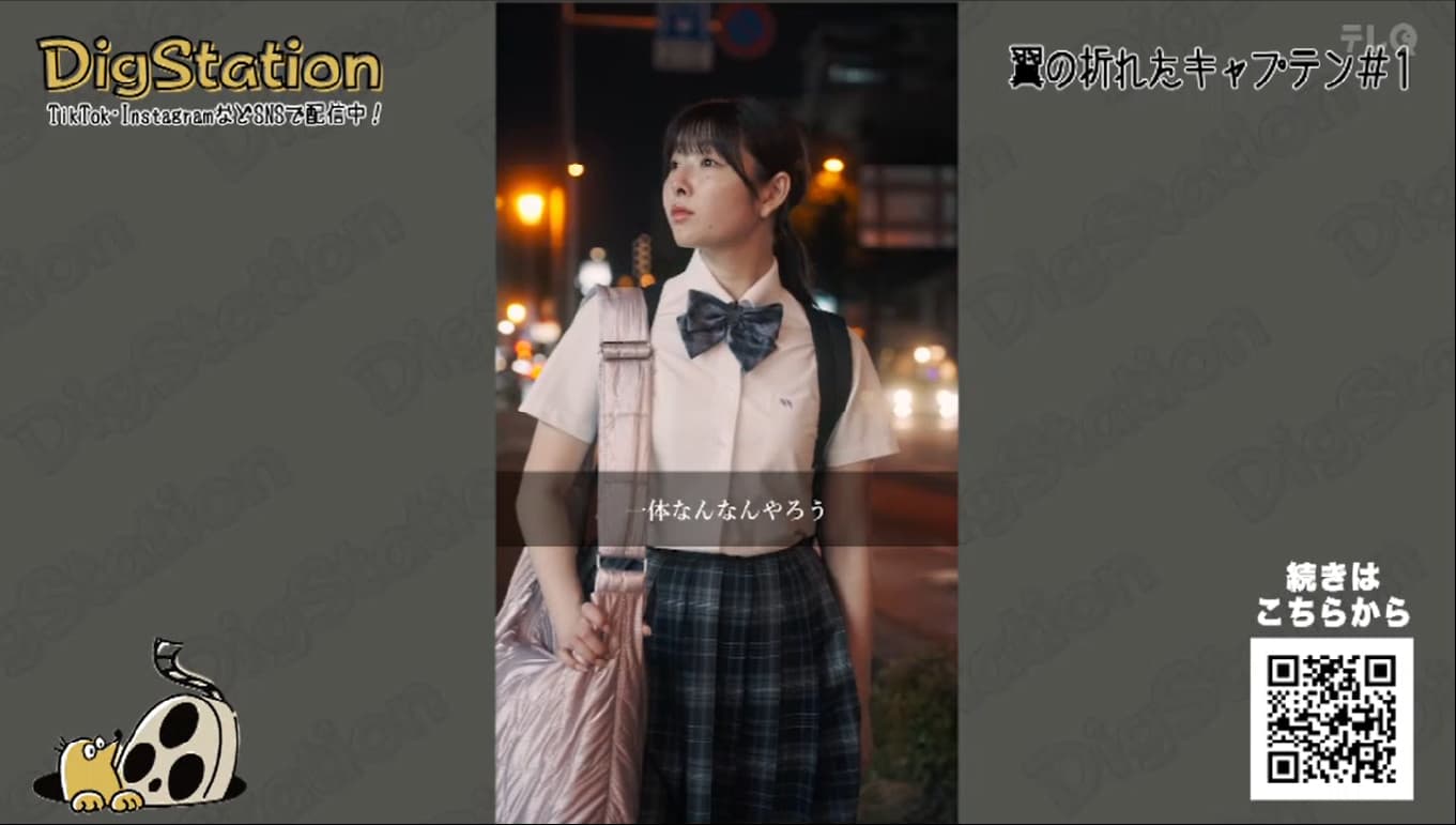 Digstation �������