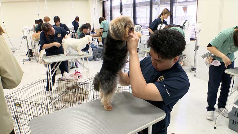 �C���[�W�ʐ^