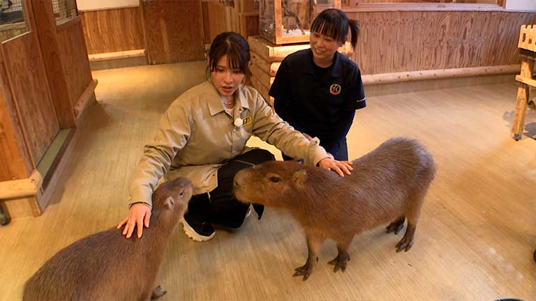 �C���[�W�ʐ^