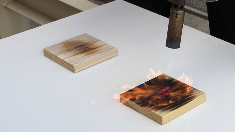 �C���[�W�ʐ^