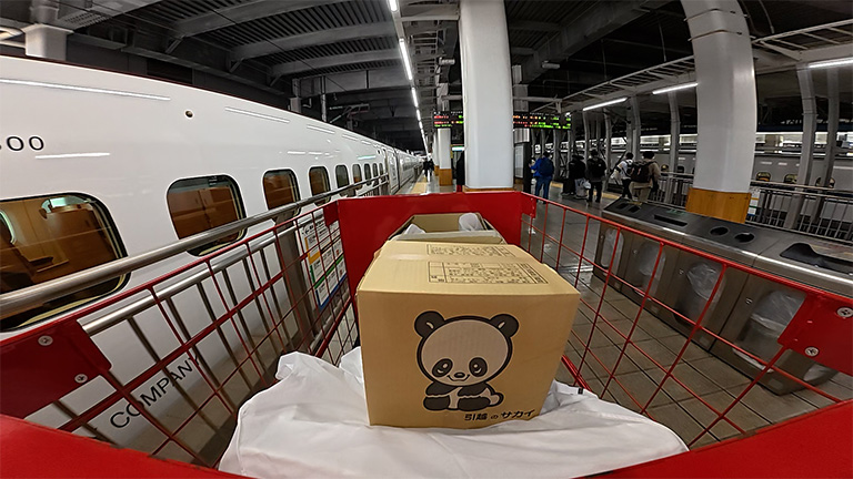 �C���[�W�ʐ^