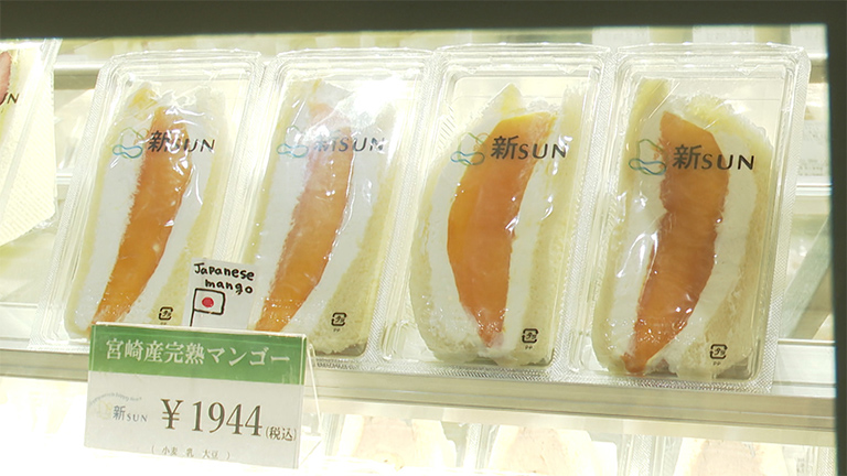 �C���[�W�ʐ^