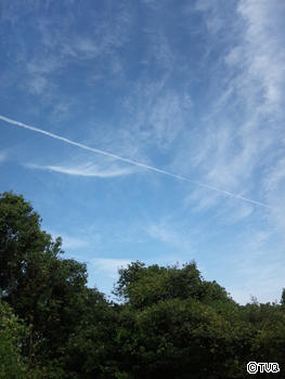 秋の空