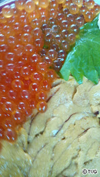 2012食べ納め〜(^o^)