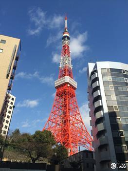 尖ったもの…