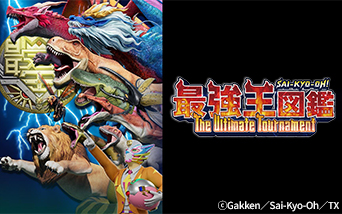 ŋ}Ӂ`The Ulitimate Tournament`