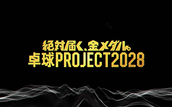 �`��Γ͂��A�����_���B�` �싅PROJECT2028