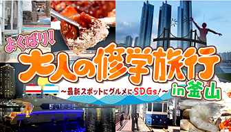 テレq 株式会社tvq九州放送