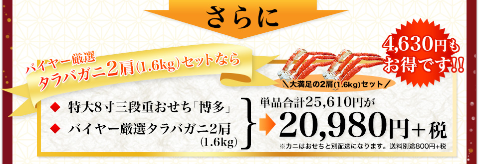 v]ɂ1.6kg̃Zbgpӂ܂I؂Q_̃ZbgPiv25,610~20,980~+